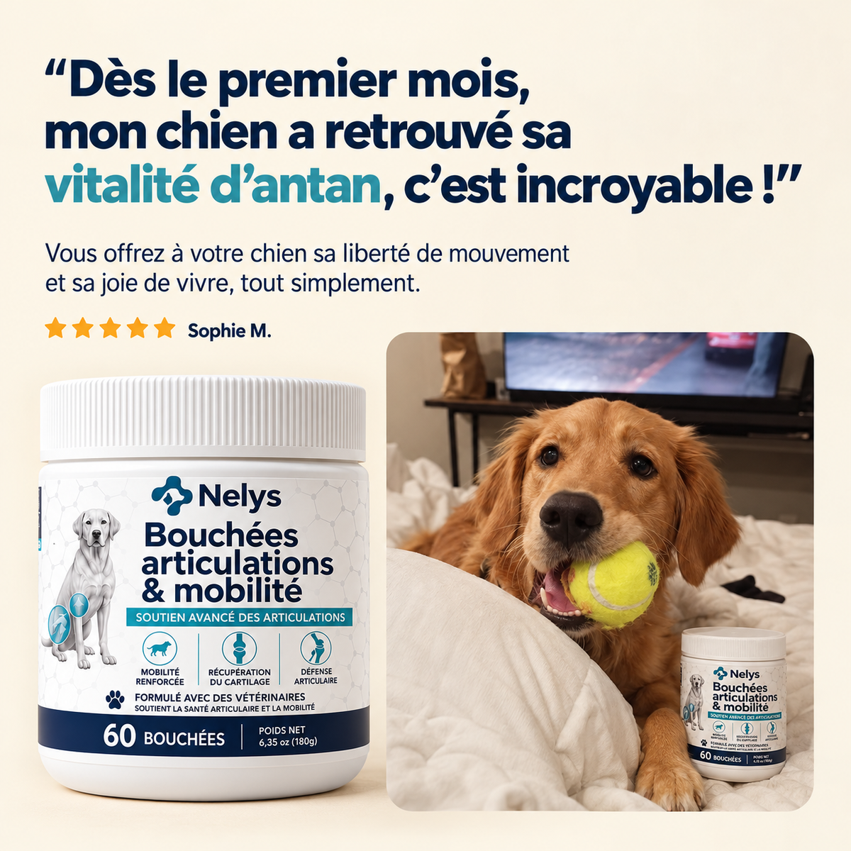 Bouchées Articulations & Mobilité