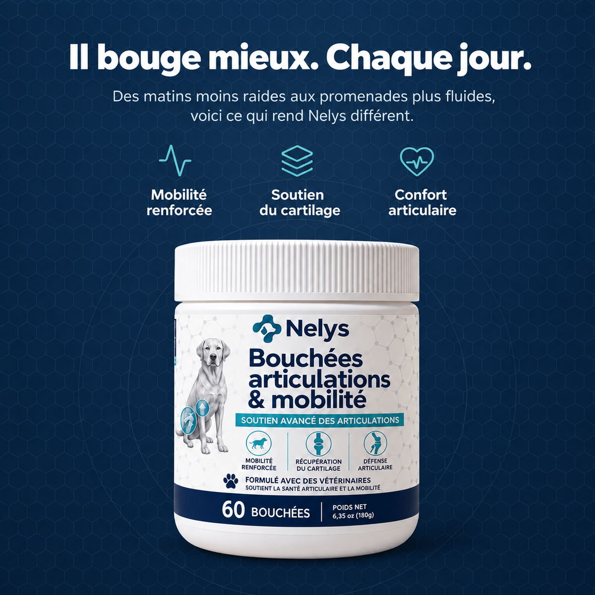 Bouchées Articulations & Mobilité